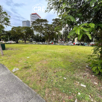 COMMERCIAL LOT FOR SALE CEBU BUSINESS PARK (Ayala Cebu) (1)