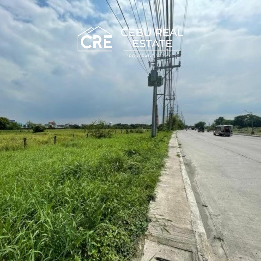 General Trias, Cavite Philippines - 30000 SQM - Cebu Real Estate Brokerage