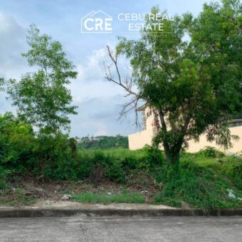 Overlooking Prime Lot for Sale at Alta Vista, Pardo Cebu (1)