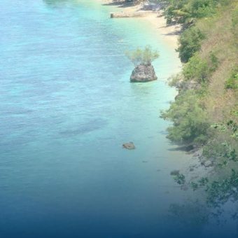 oslob beach property (1)