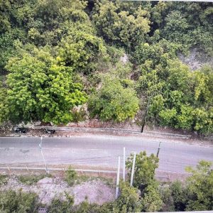 oslob beach property (3)