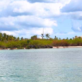FOR SALE | Beach Property at Bantayan Island Cebu – 113,443 SQM