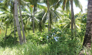 Picture3