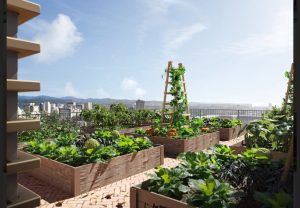 213271223_673782203538717_3557973166328175881_n