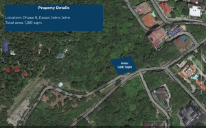 LOT 1288-T-2 A726 SQM (2)
